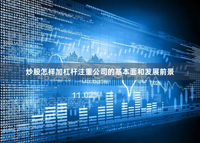 炒股怎样加杠杆注重公司的基本面和发展前景